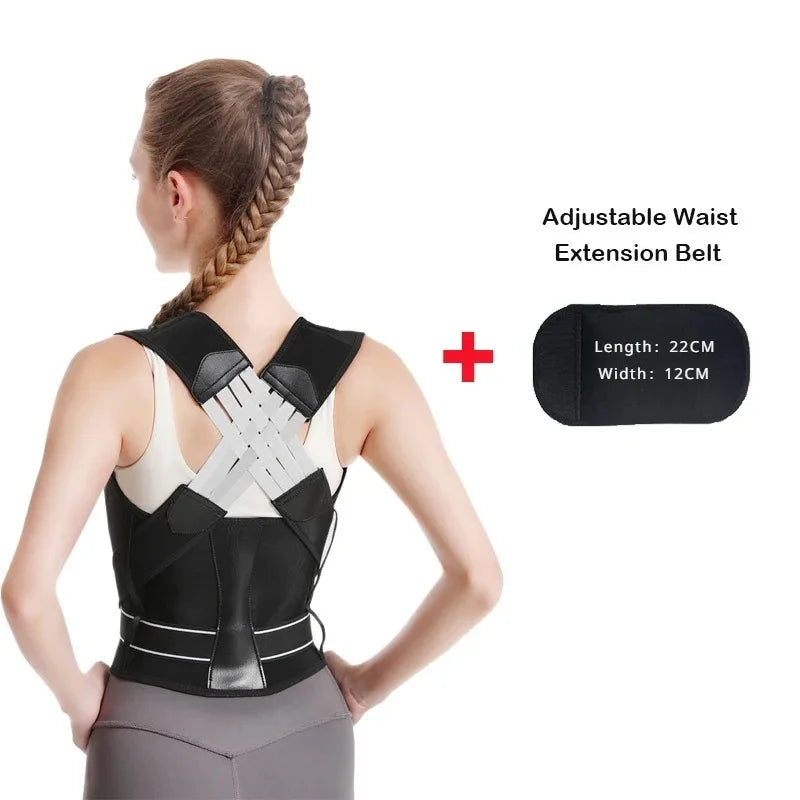 Pro Back Brace