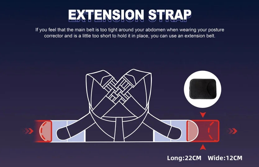 Pro Back Brace