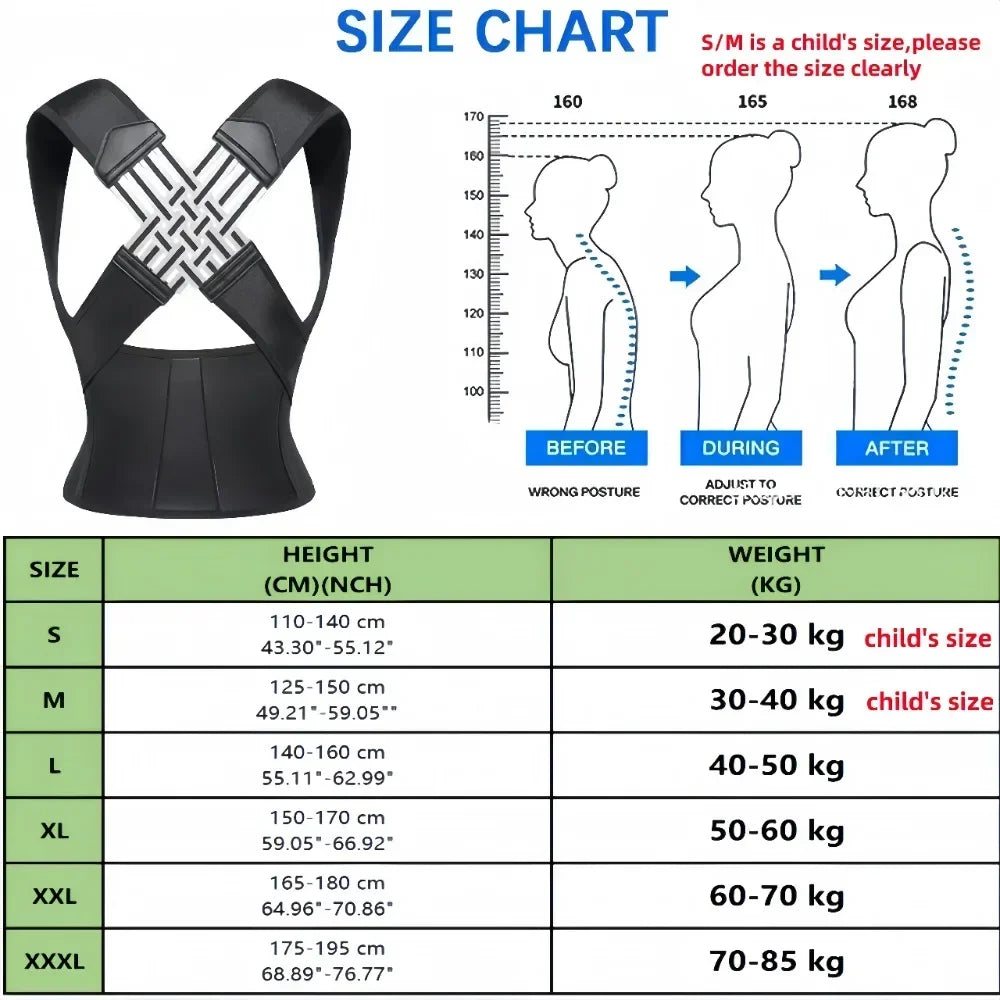 Pro Back Brace