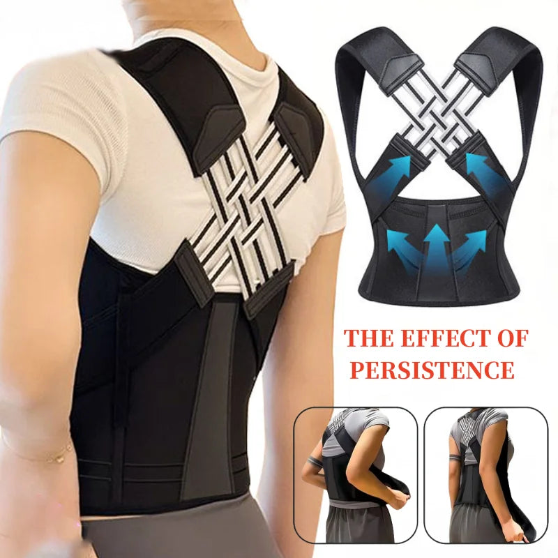 Pro Back Brace