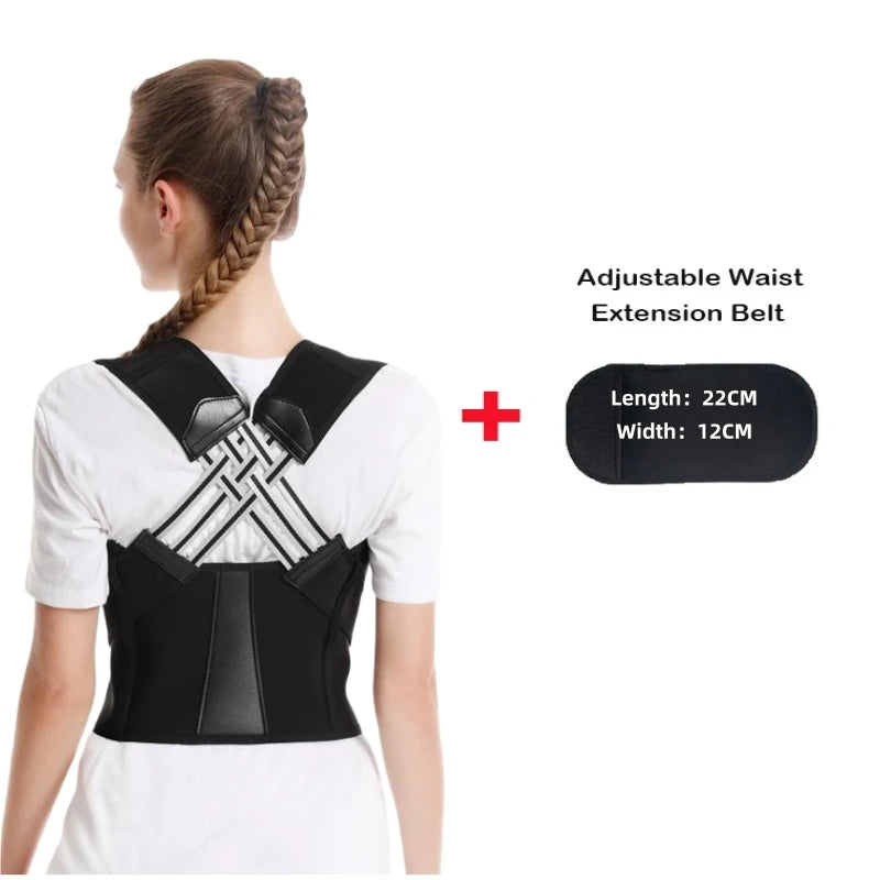 Pro Back Brace