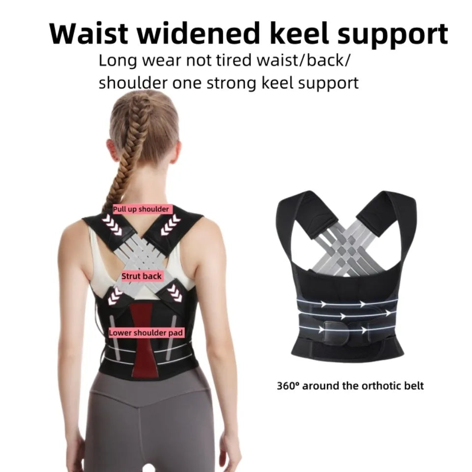 Pro Back Brace