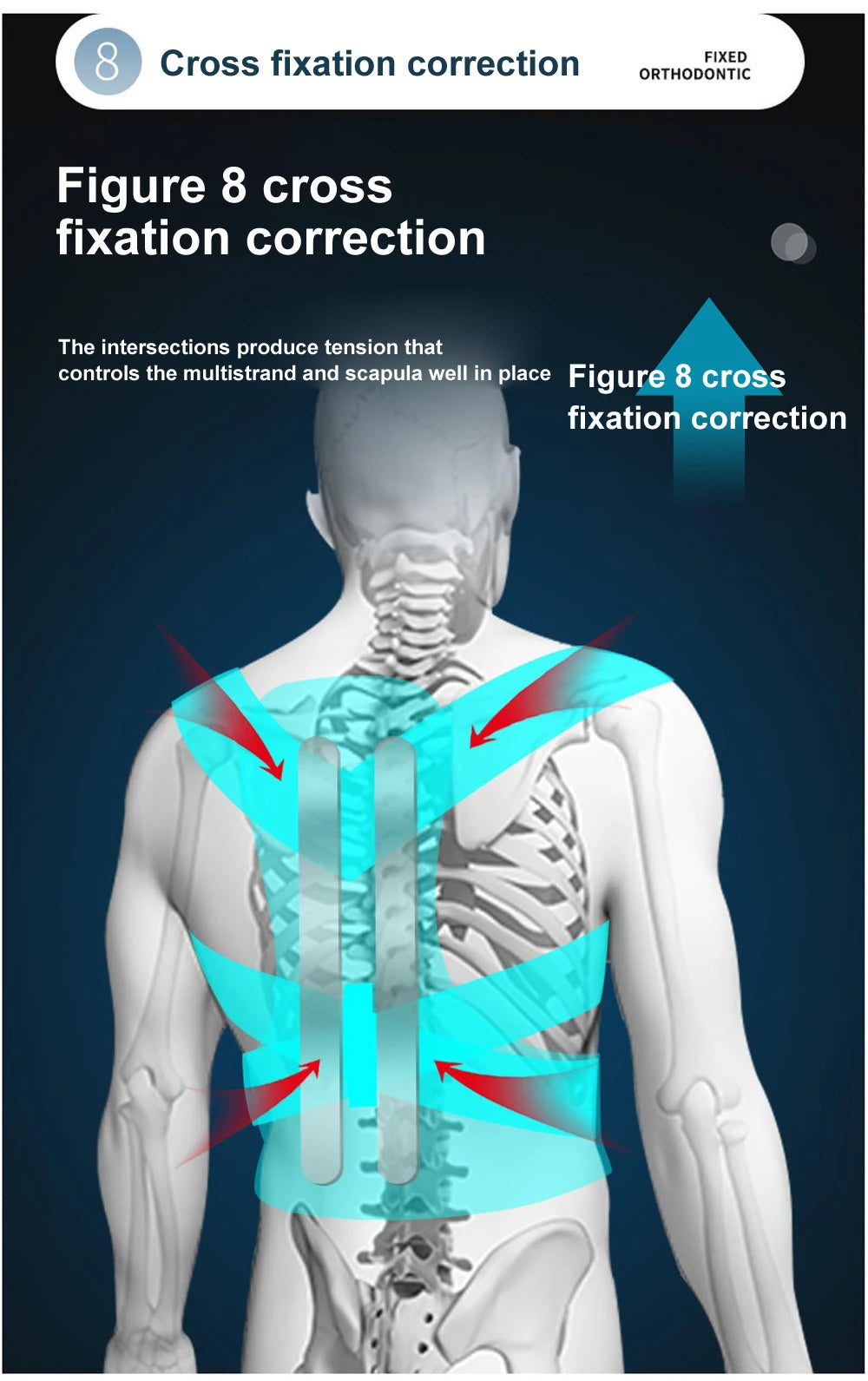Spine Support Vest