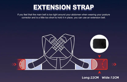 Pro Back Brace