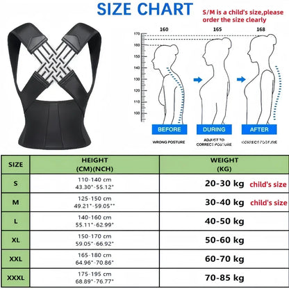 Pro Back Brace